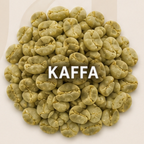 Kafa