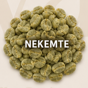 Nekemte